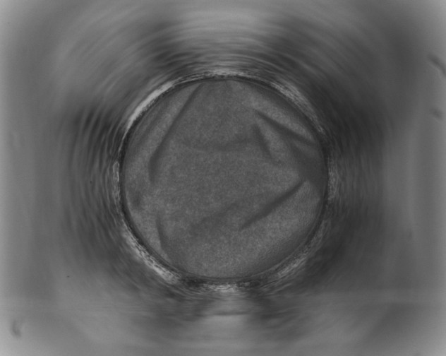 X0000100400798200806271419