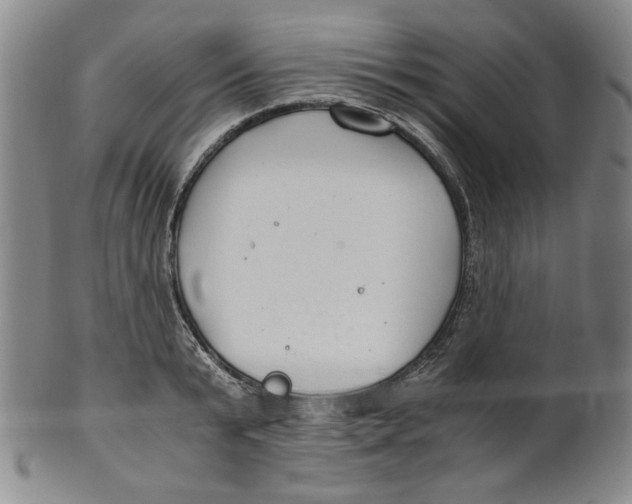 X0000100400799200806271419