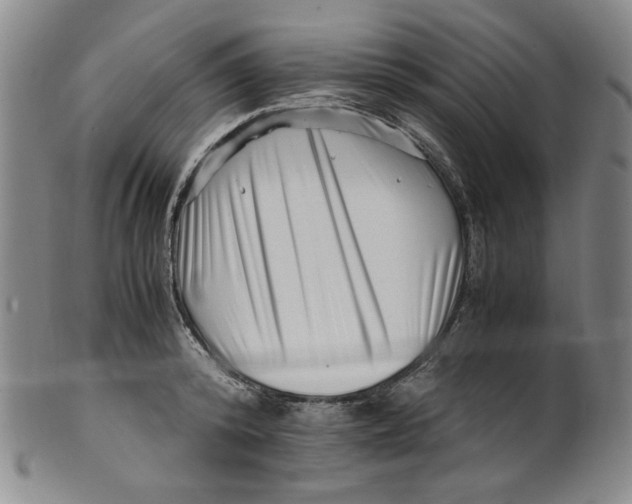 X0000100400800200806271419