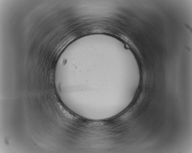 X0000100400801200806271419