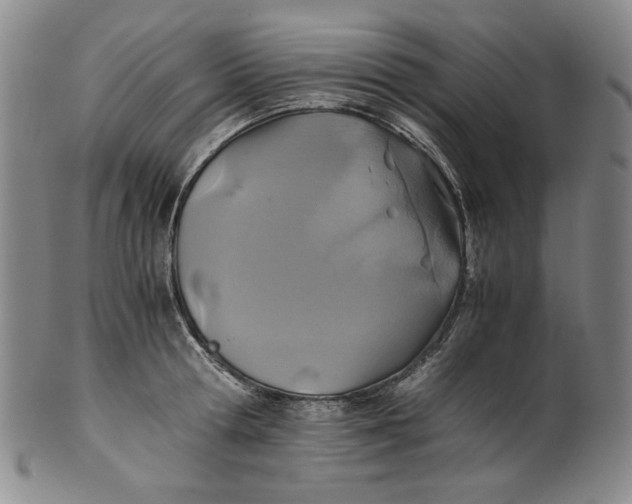 X0000100400802200806271419