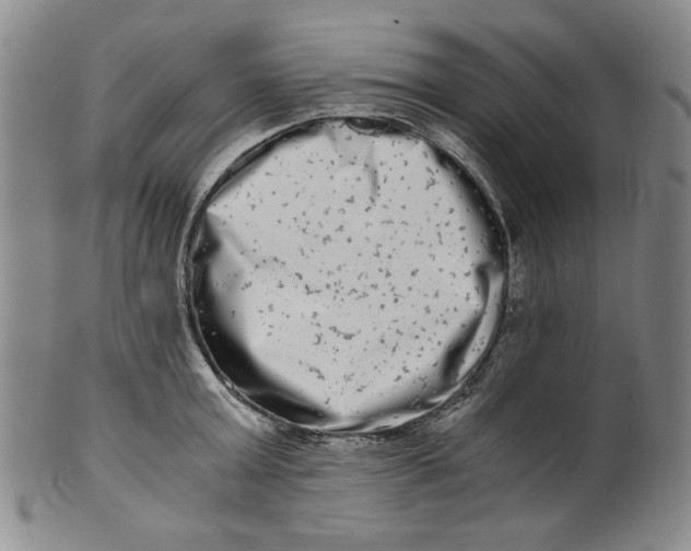 X0000100400803200806271419