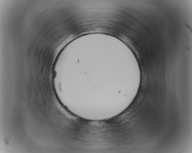 X0000100400805200806271419