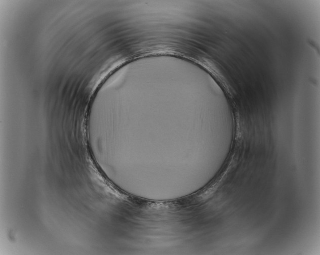 X0000100400806200806271419
