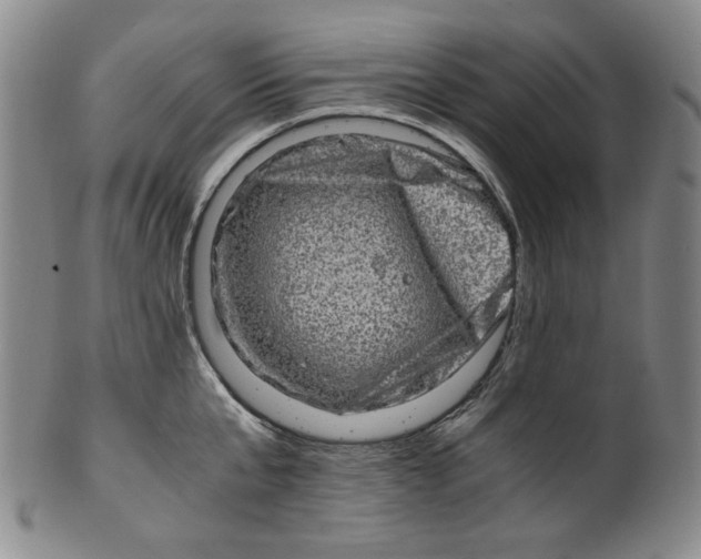 X0000100400807200806271419