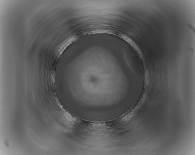X0000100400809200806271419