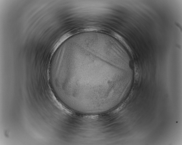 X0000100400810200806271419