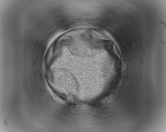 X0000100400811200806271419