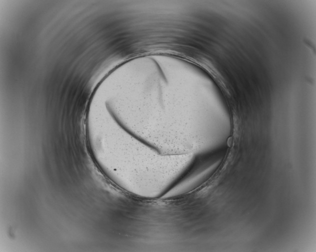 X0000100400814200806271419