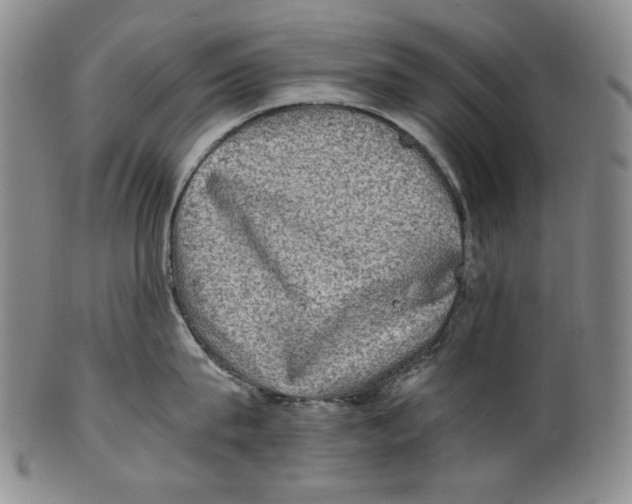 X0000100400815200806271419