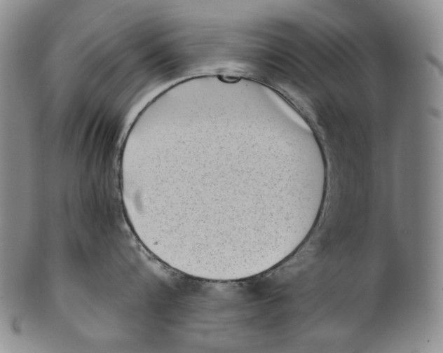 X0000100400816200806271419