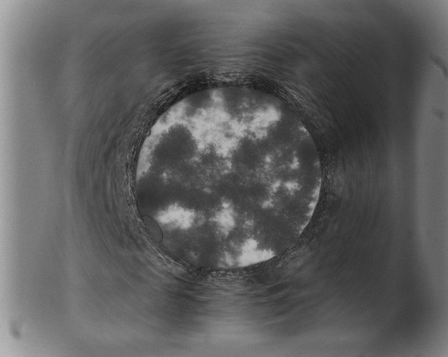 X0000100400817200806271418