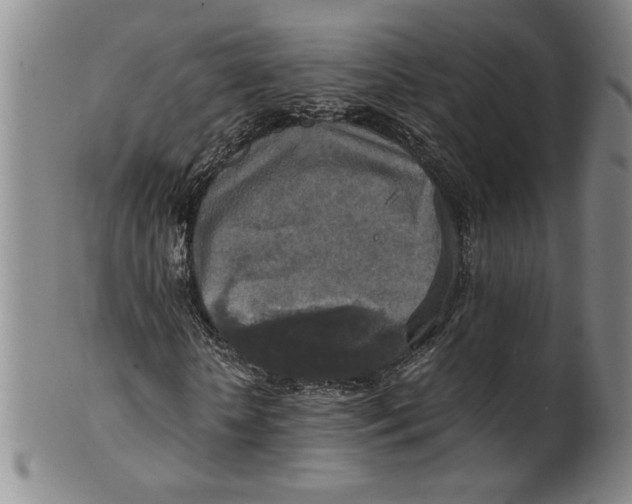 X0000100400818200806271418