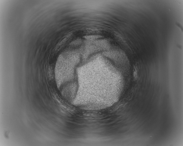 X0000100400819200806271418