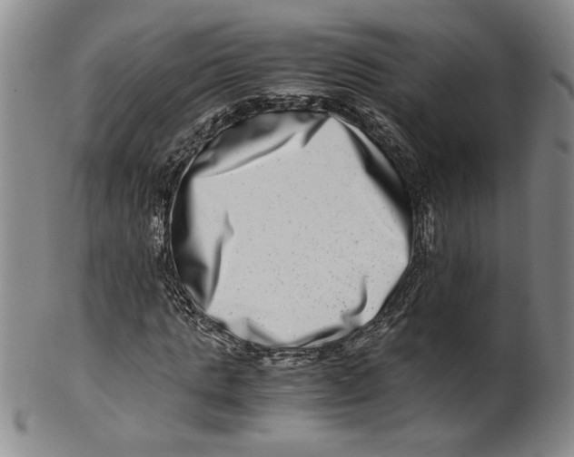 X0000100400821200806271418