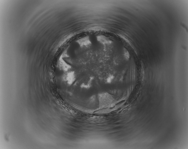 X0000100400823200806271418