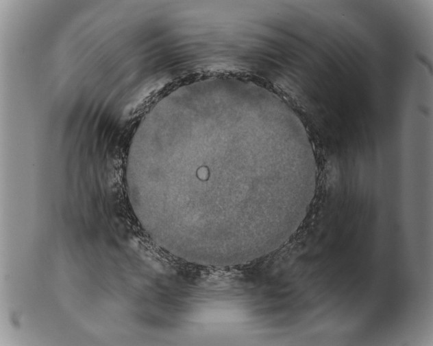 X0000100400824200806271418
