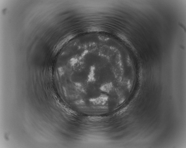 X0000100400825200806271418