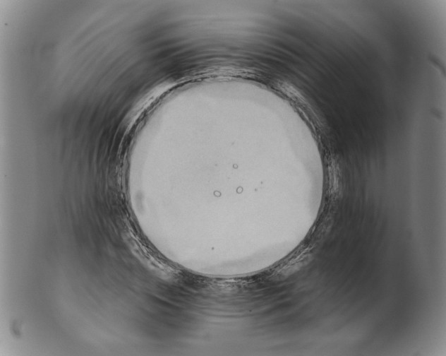 X0000100400828200806271418