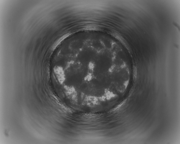 X0000100400829200806271418