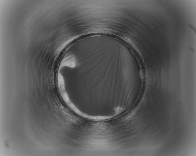 X0000100400830200806271418
