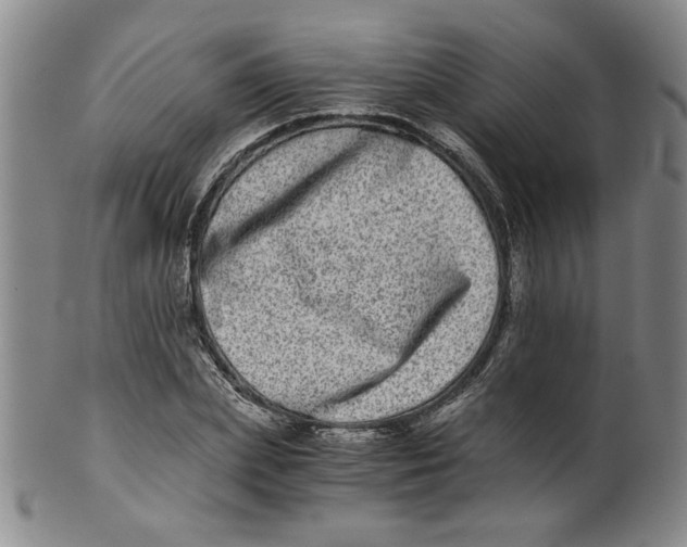 X0000100400831200806271418