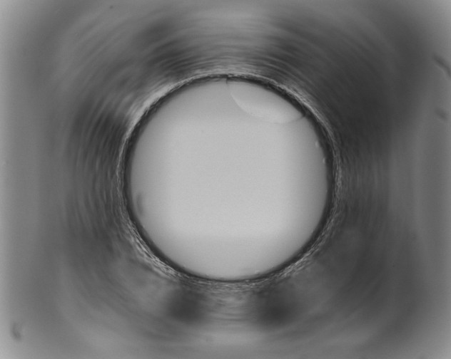 X0000100400832200806271418