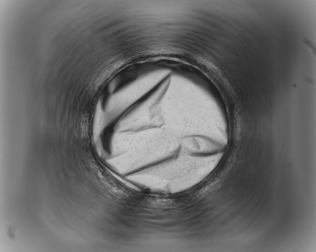 X0000100400833200806271418