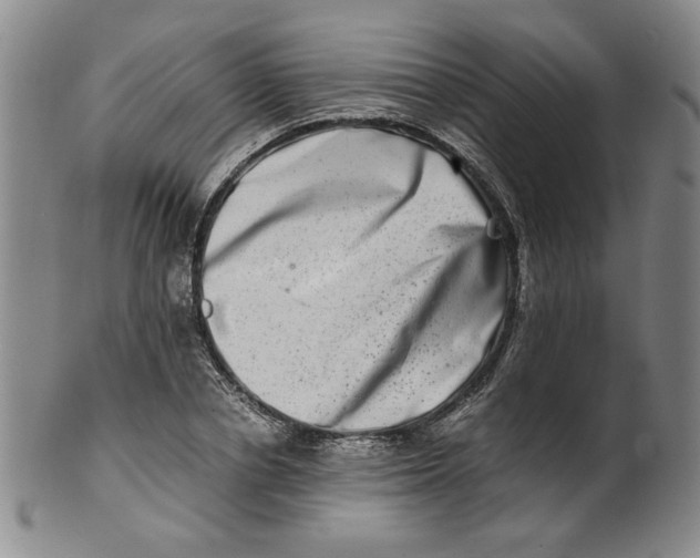 X0000100400834200806271418