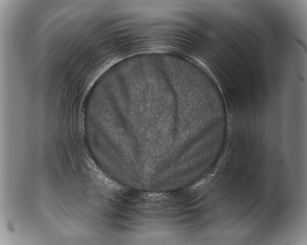 X0000100400835200806271418