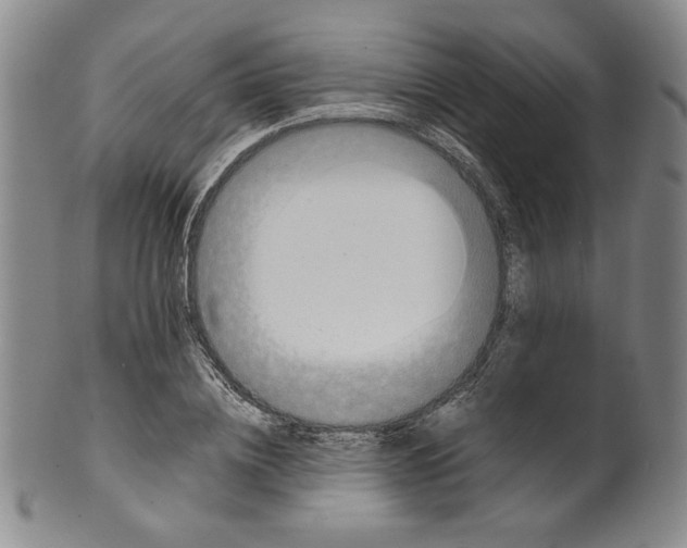 X0000100400836200806271418