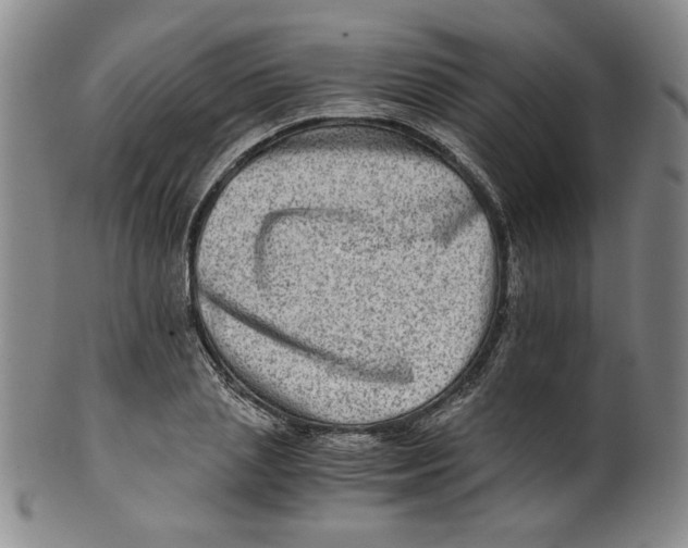 X0000100400837200806271418