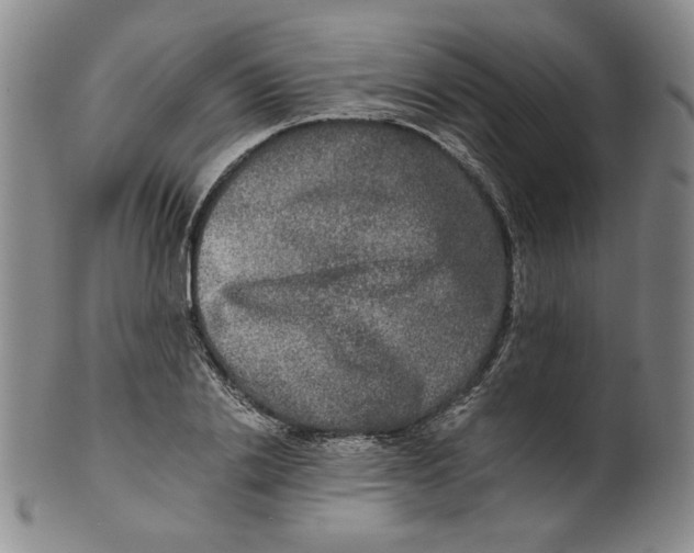 X0000100400838200806271418