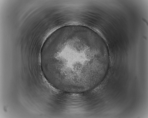 X0000100400839200806271418
