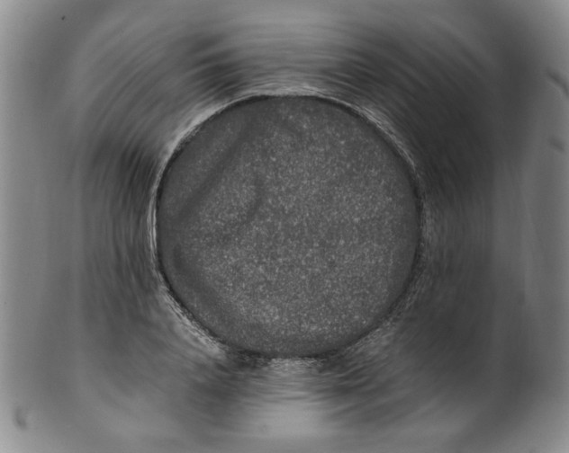X0000100400840200806271418