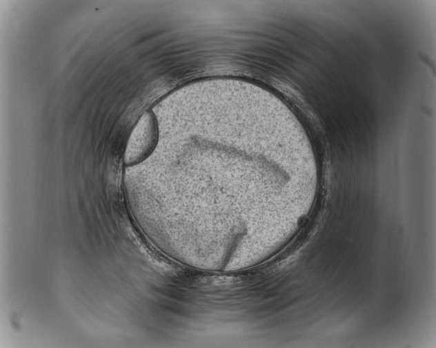 X0000100400841200806271418