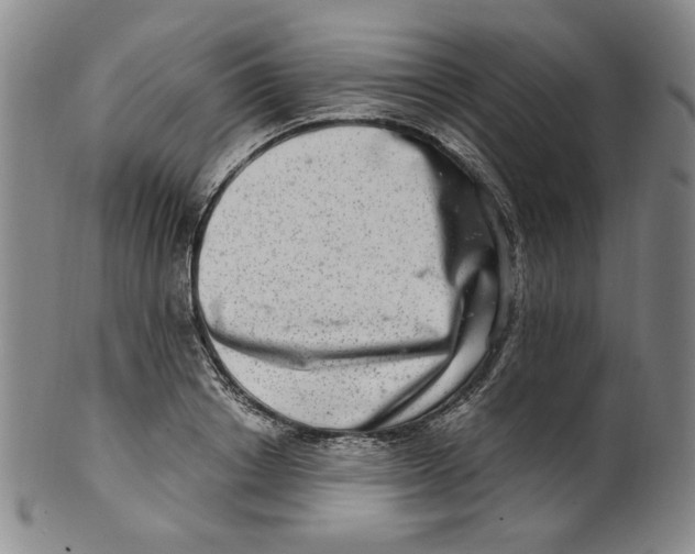 X0000100400842200806271418