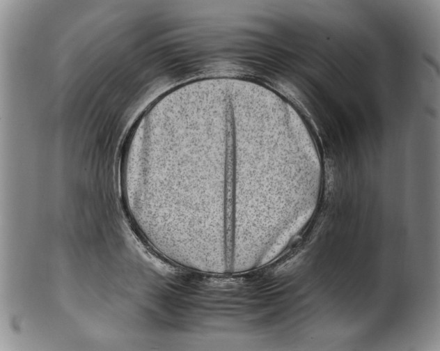 X0000100400843200806271418