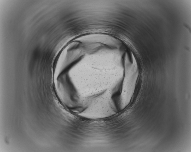 X0000100400844200806271418