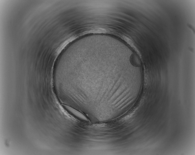 X0000100400845200806271418