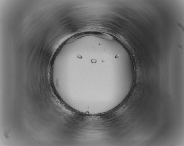X0000100400846200806271418