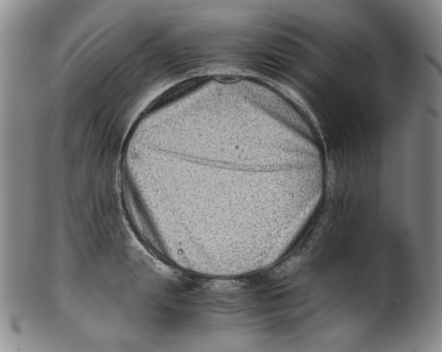 X0000100400847200806271418