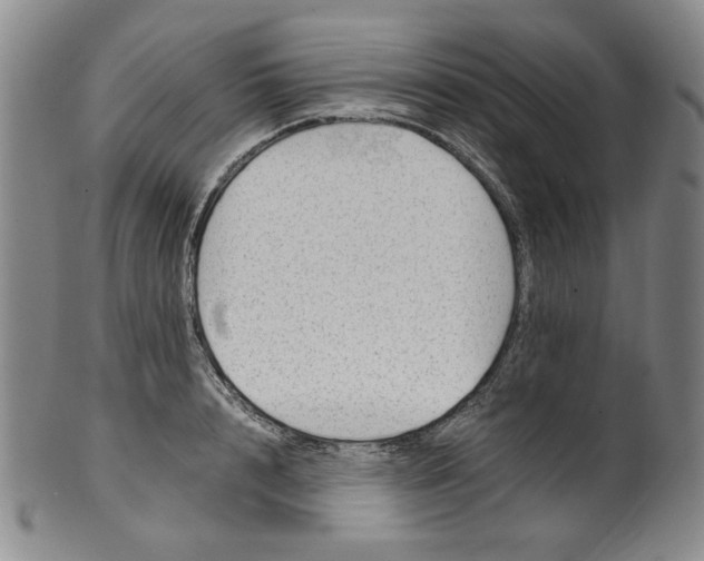 X0000100400848200806271419