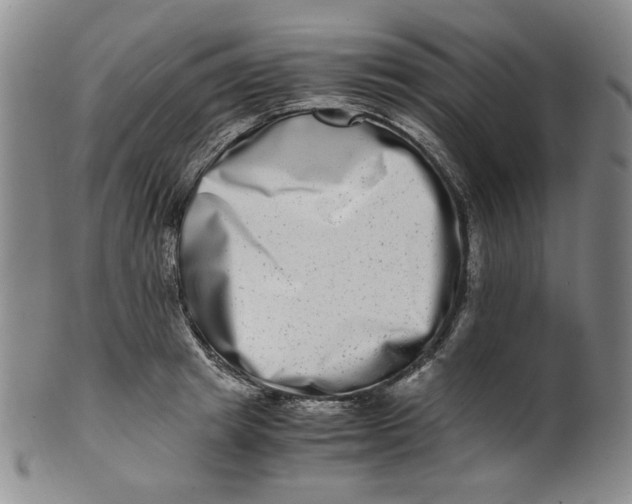 X0000100400849200806271419