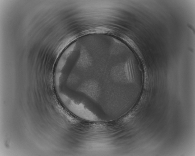 X0000100400850200806271419