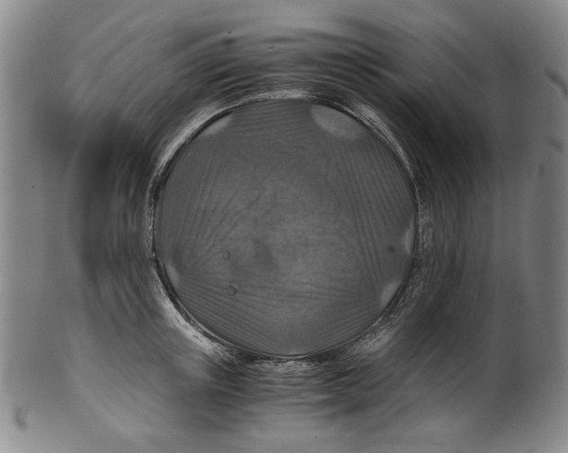 X0000100400851200806271419