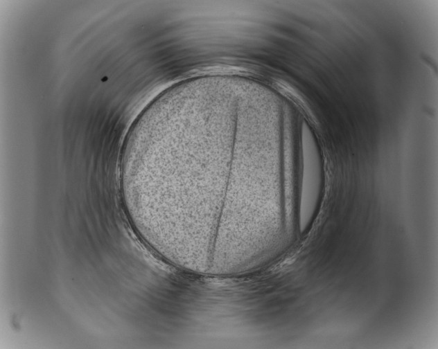 X0000100400852200806271419