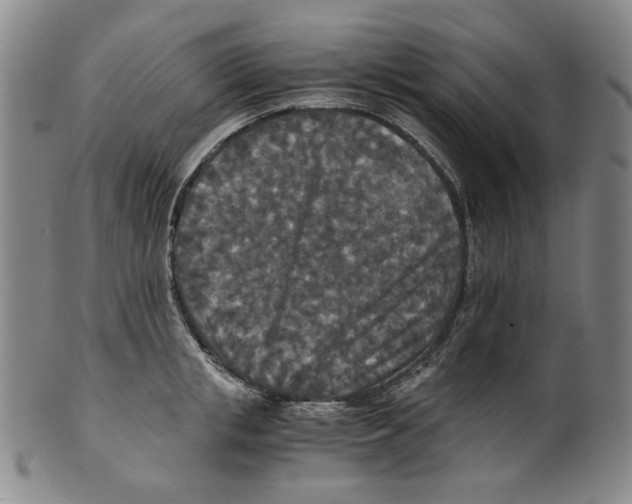 X0000100400853200806271419