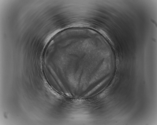 X0000100400854200806271419