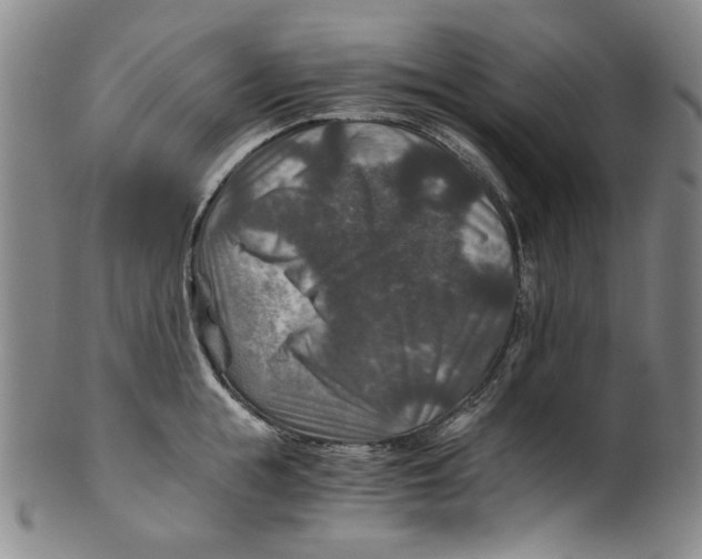 X0000100400855200806271419